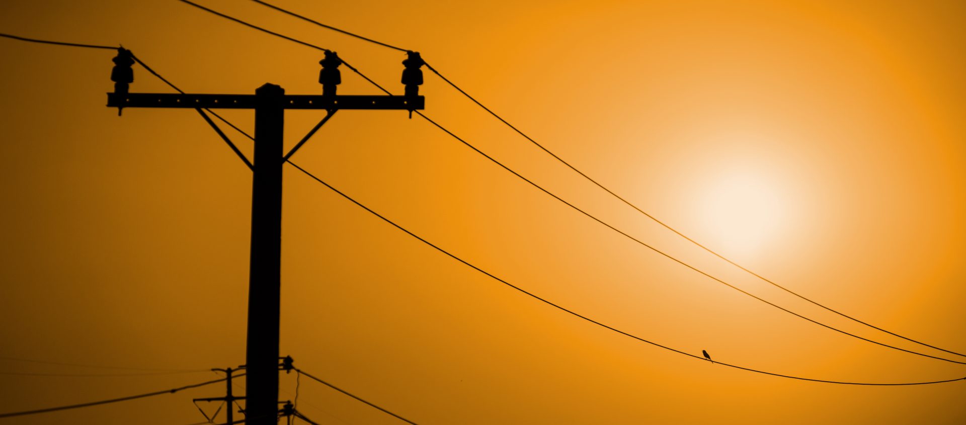 a birds on a wire at sunset 2023 01 10 19 01 22 utc
