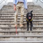 senior blind man with guide dog walking down the s 2021 08 27 16 20 25 utc
