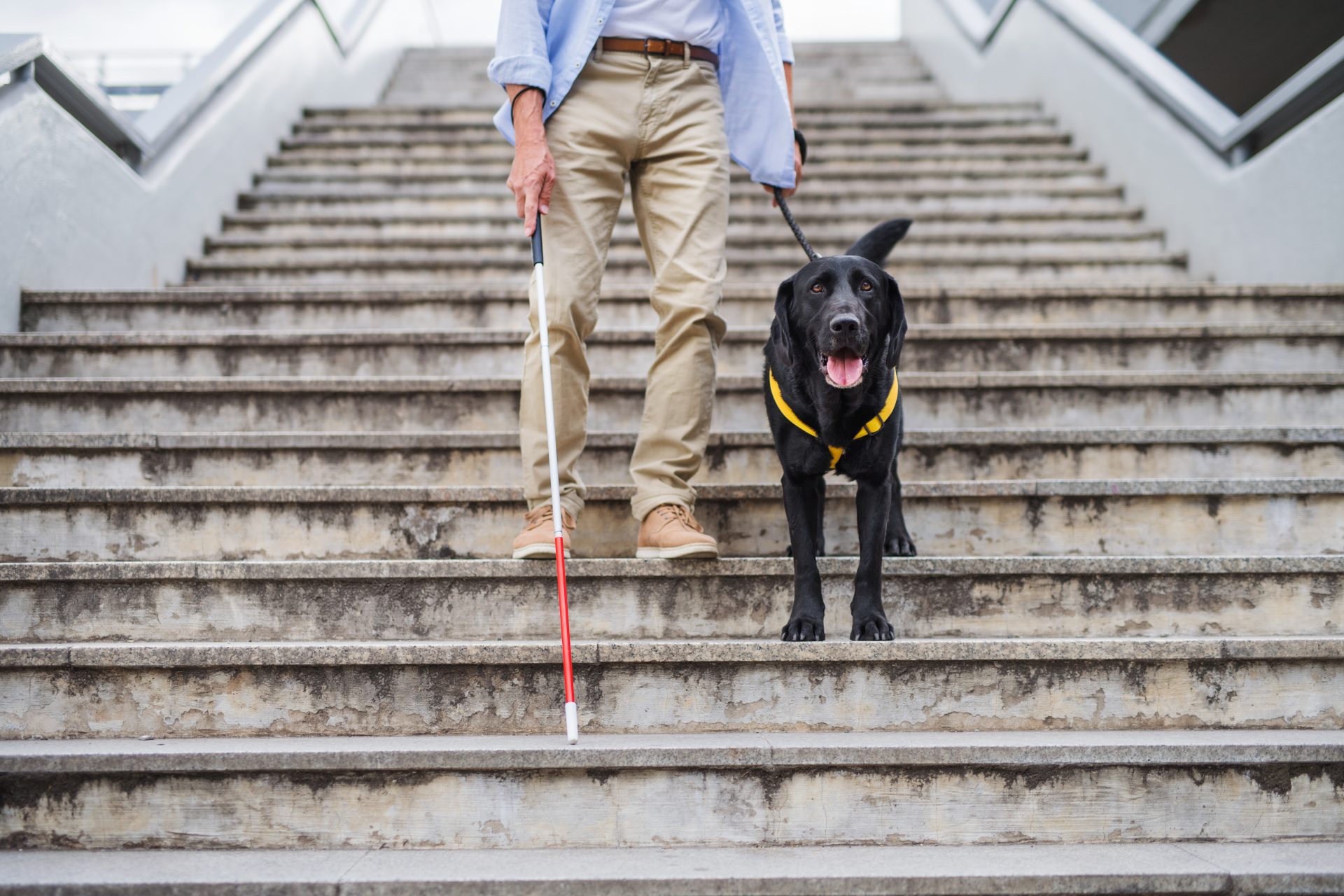 senior blind man with guide dog walking down the s 2021 08 27 16 20 25 utc