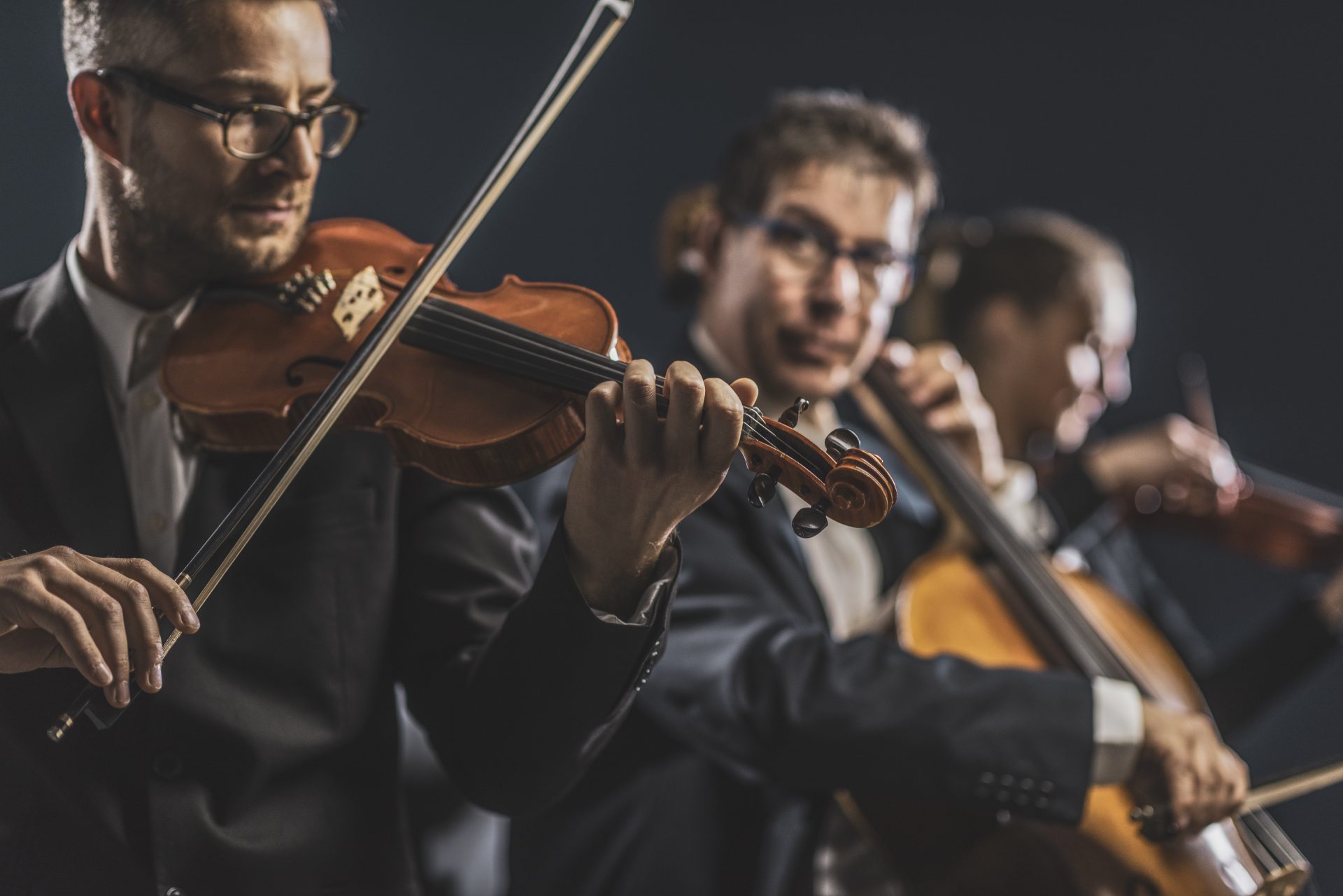 symphonic string orchestra performing on stage 2021 08 26 22 39 59 utc