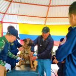 Bomberos de Zipaquira fortalece la preparacion para proteger a sus unidades caninas