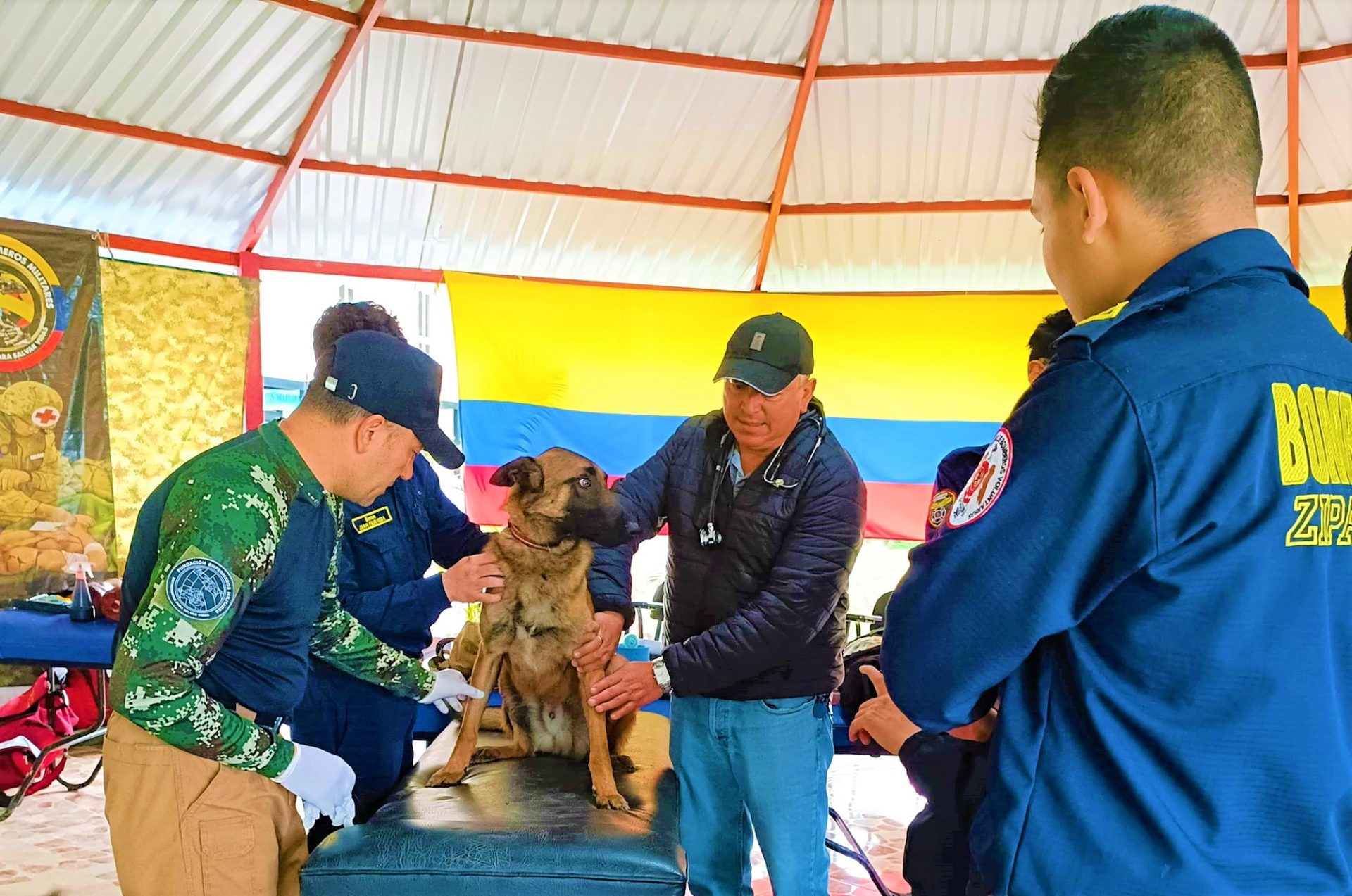 Bomberos de Zipaquira fortalece la preparacion para proteger a sus unidades caninas