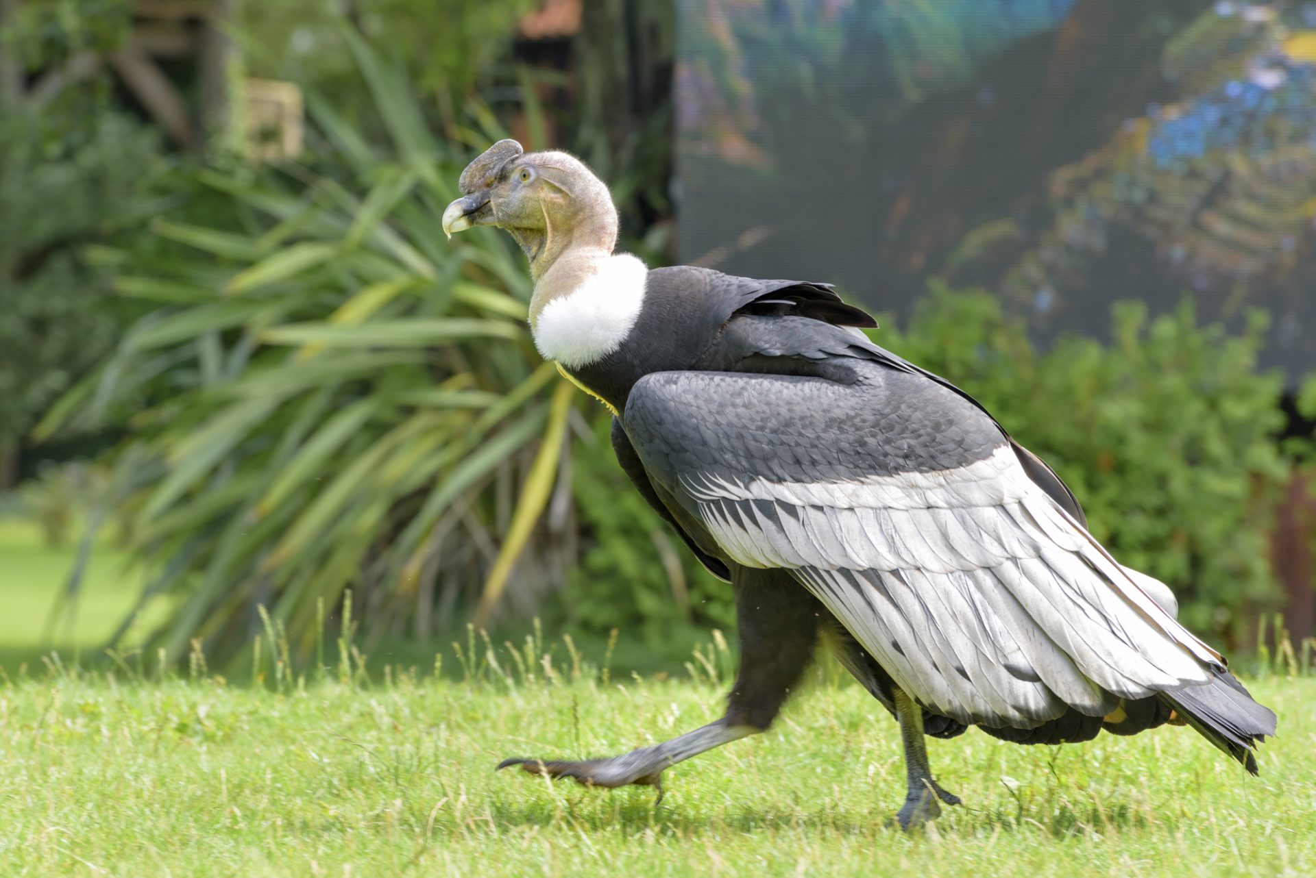 Depositphotos 240122462 L