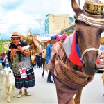Moniquira celebra el Concurso Regional del Burro este domingo 2 de julio