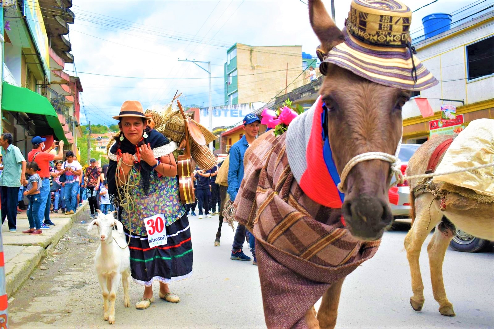 Moniquira celebra el Concurso Regional del Burro este domingo 2 de julio