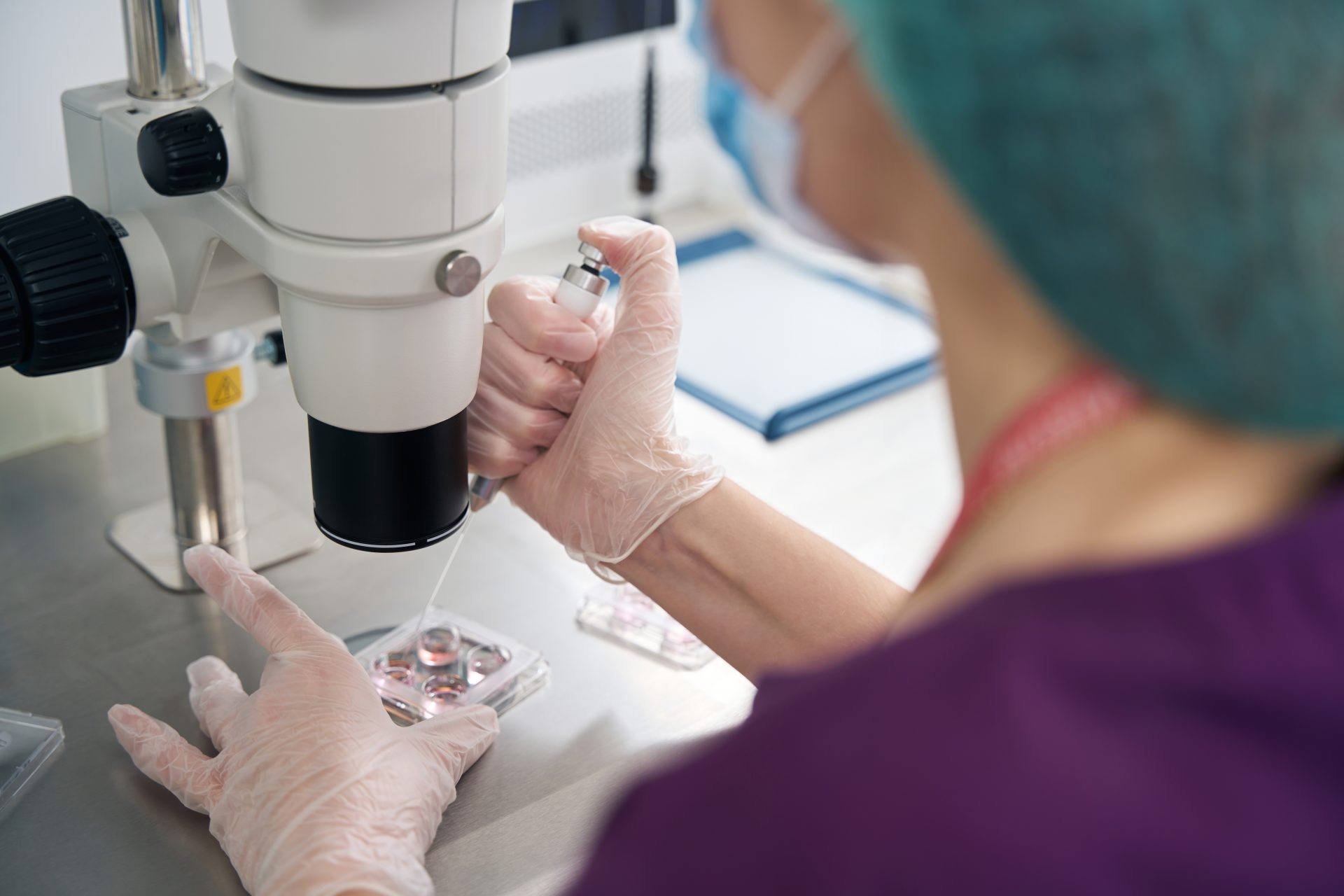 embryologist examinesbiomaterial collected in embr 2023 03 15 21 25 12 utc