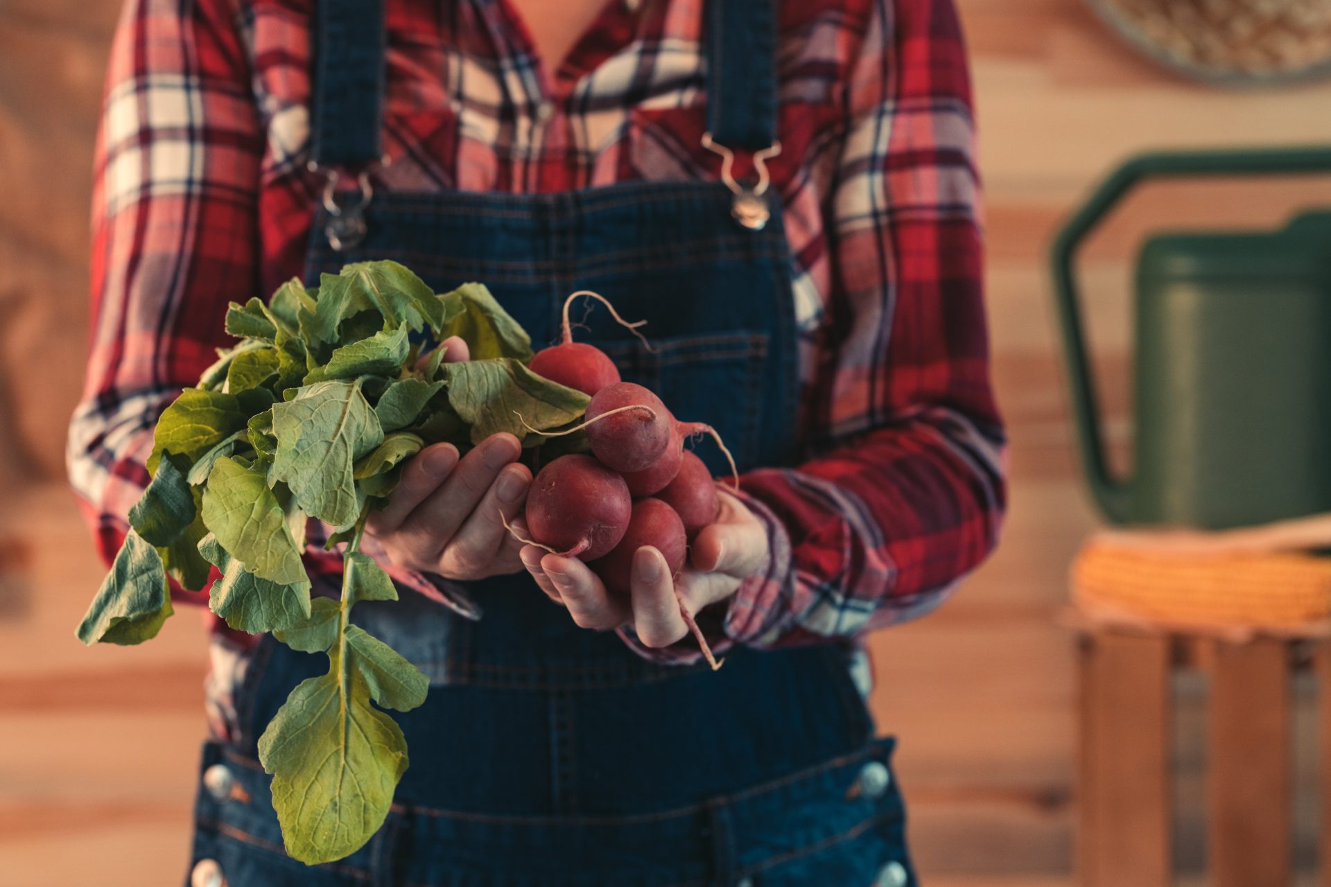 female farmer holding bunch of harvested radishes 2021 08 26 23 03 03 utc