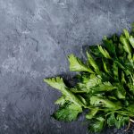 fresh coriander on a dark texture background 2021 08 27 21 24 52 utc
