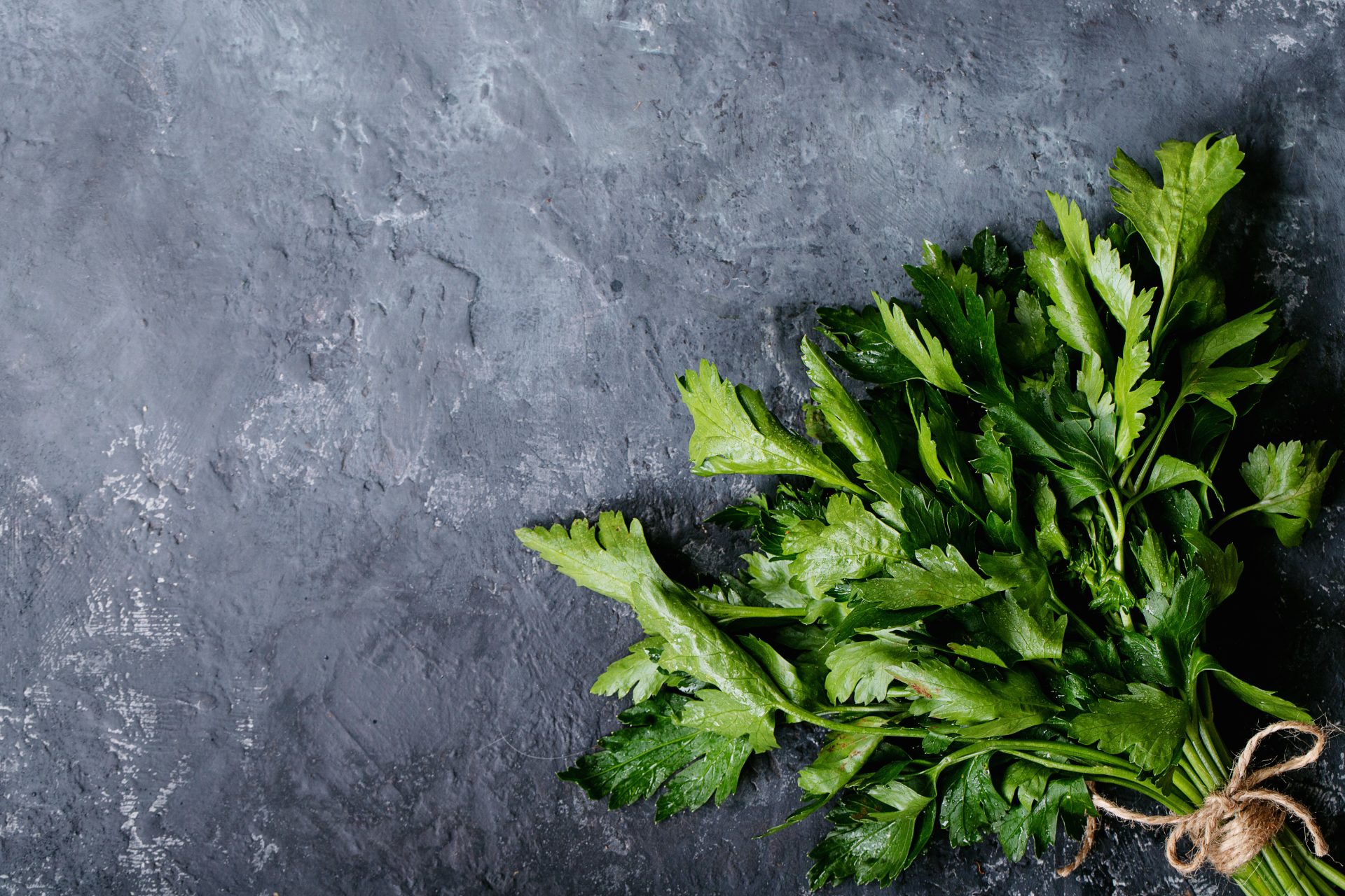 fresh coriander on a dark texture background 2021 08 27 21 24 52 utc