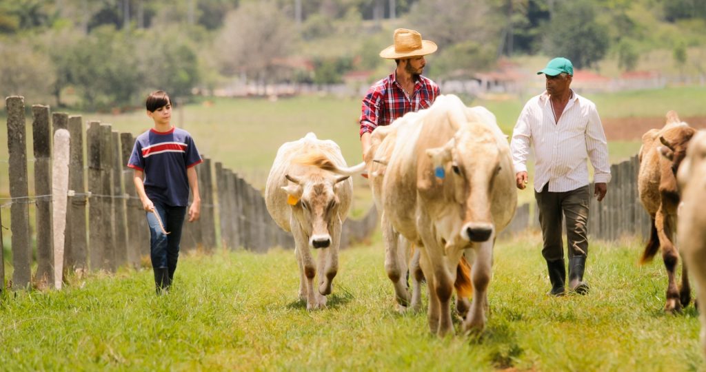 grandfather father child pasturing cows in family 2021 08 26 15 46 11 utc