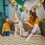 dog pet birthday party happy family mother and ch 2023 05 26 18 24 49 utc