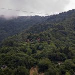 pexels emrecan algul 16782982