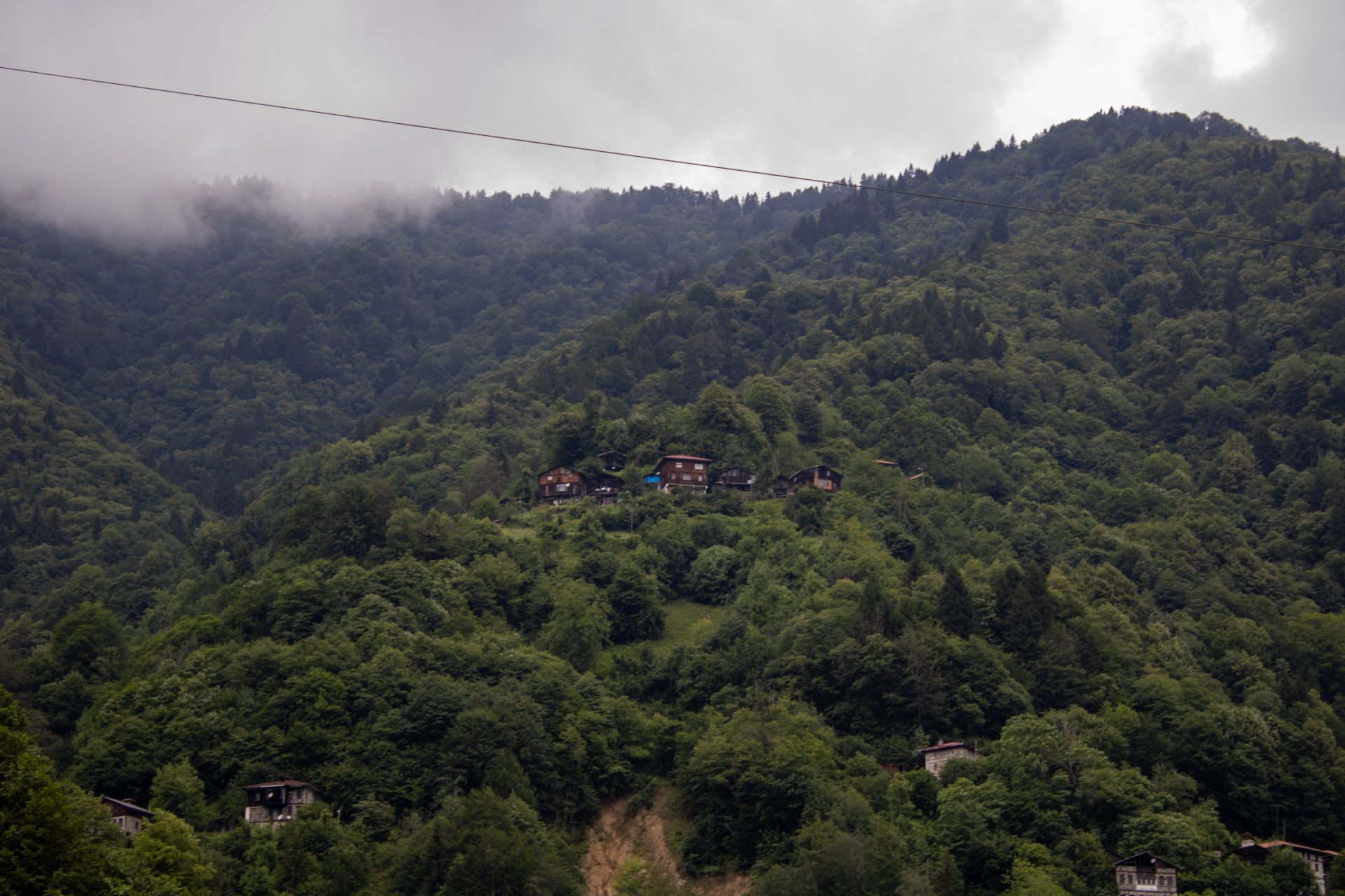 pexels emrecan algul 16782982