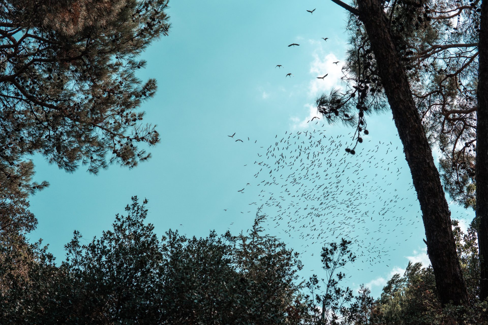 pexels mert kahveci 8011542