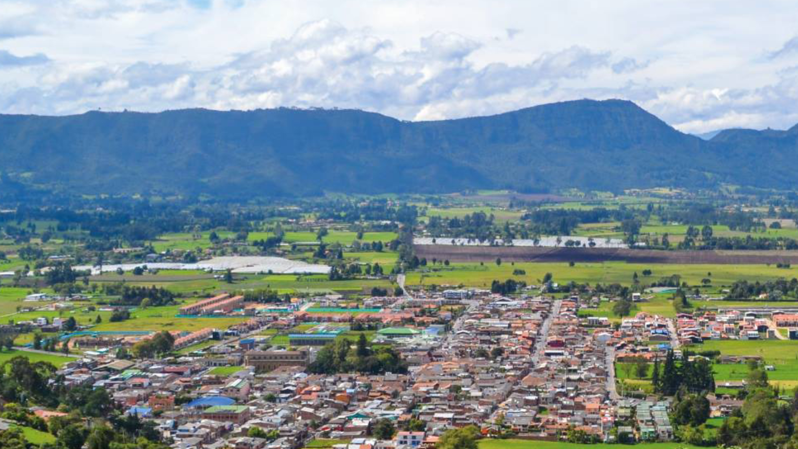 Proyecto nuevo 17 1