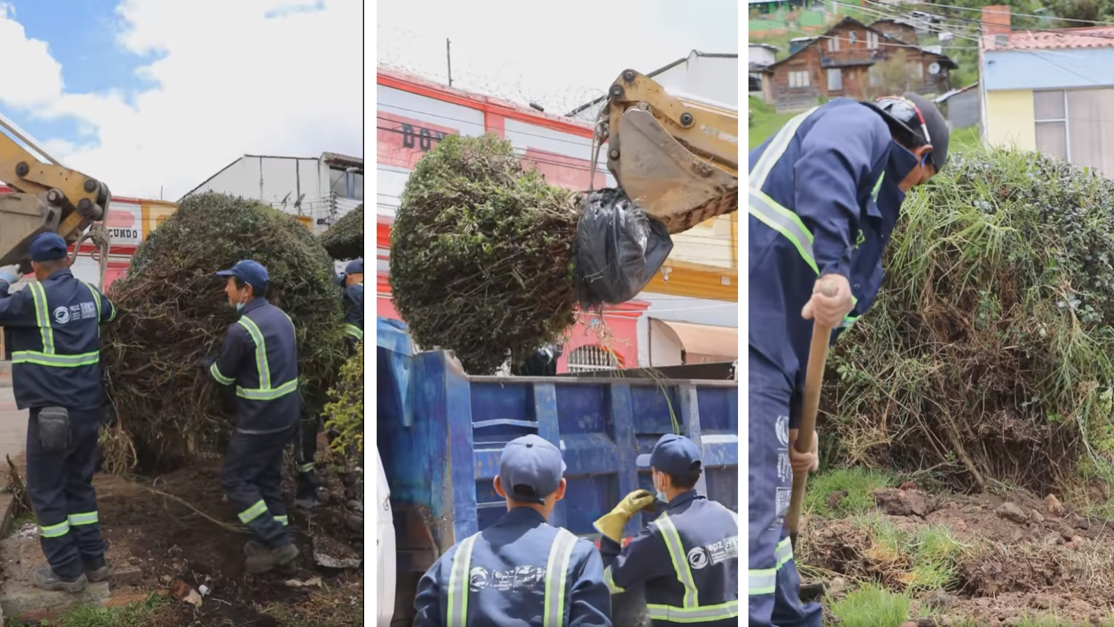 Proyecto nuevo 26 1