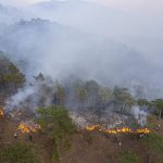 firemans forest fire 2022 12 07 01 21 10 utc