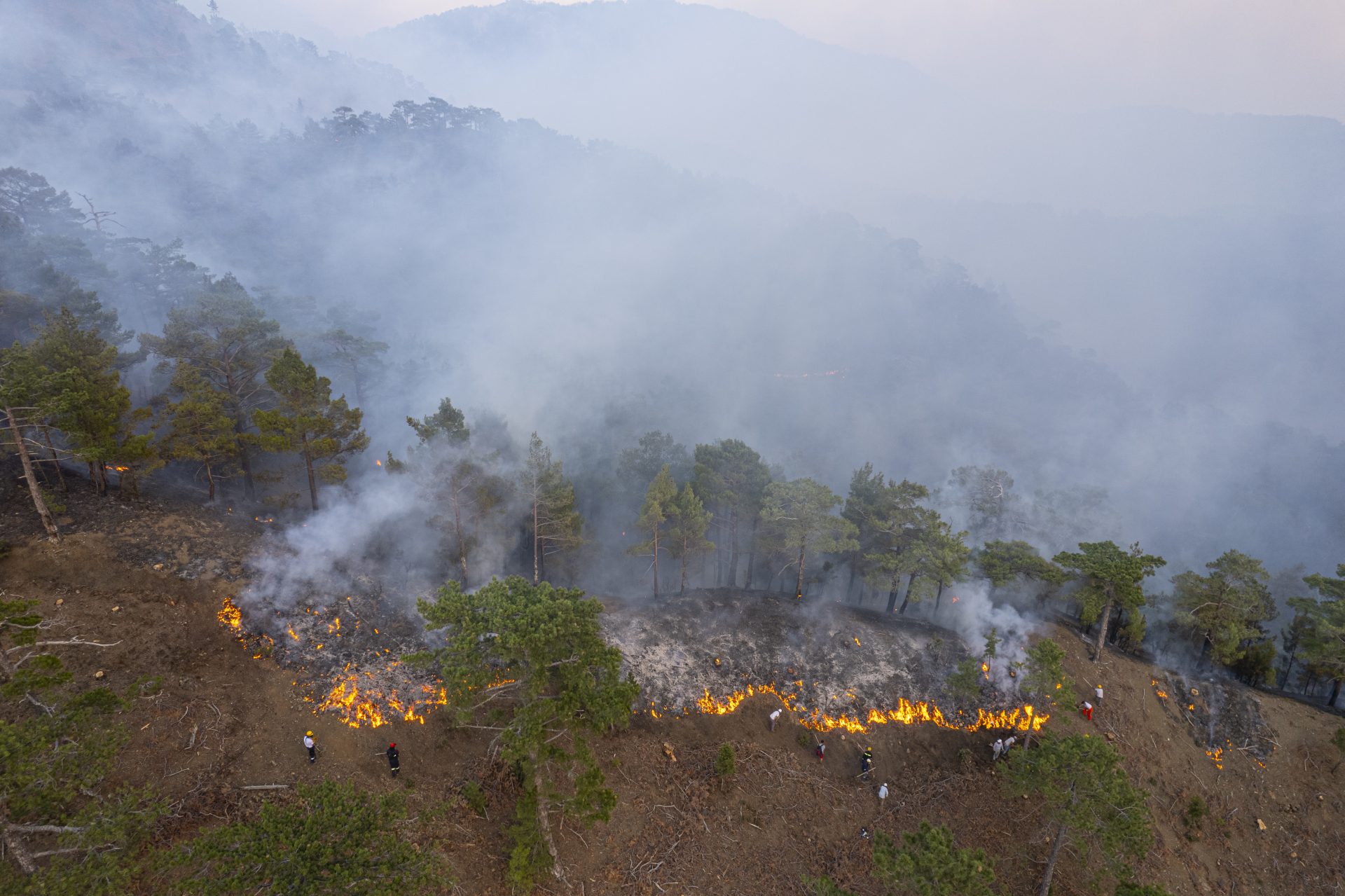 firemans forest fire 2022 12 07 01 21 10 utc