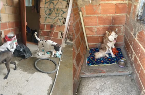 image 2023 08 30 11 05 35