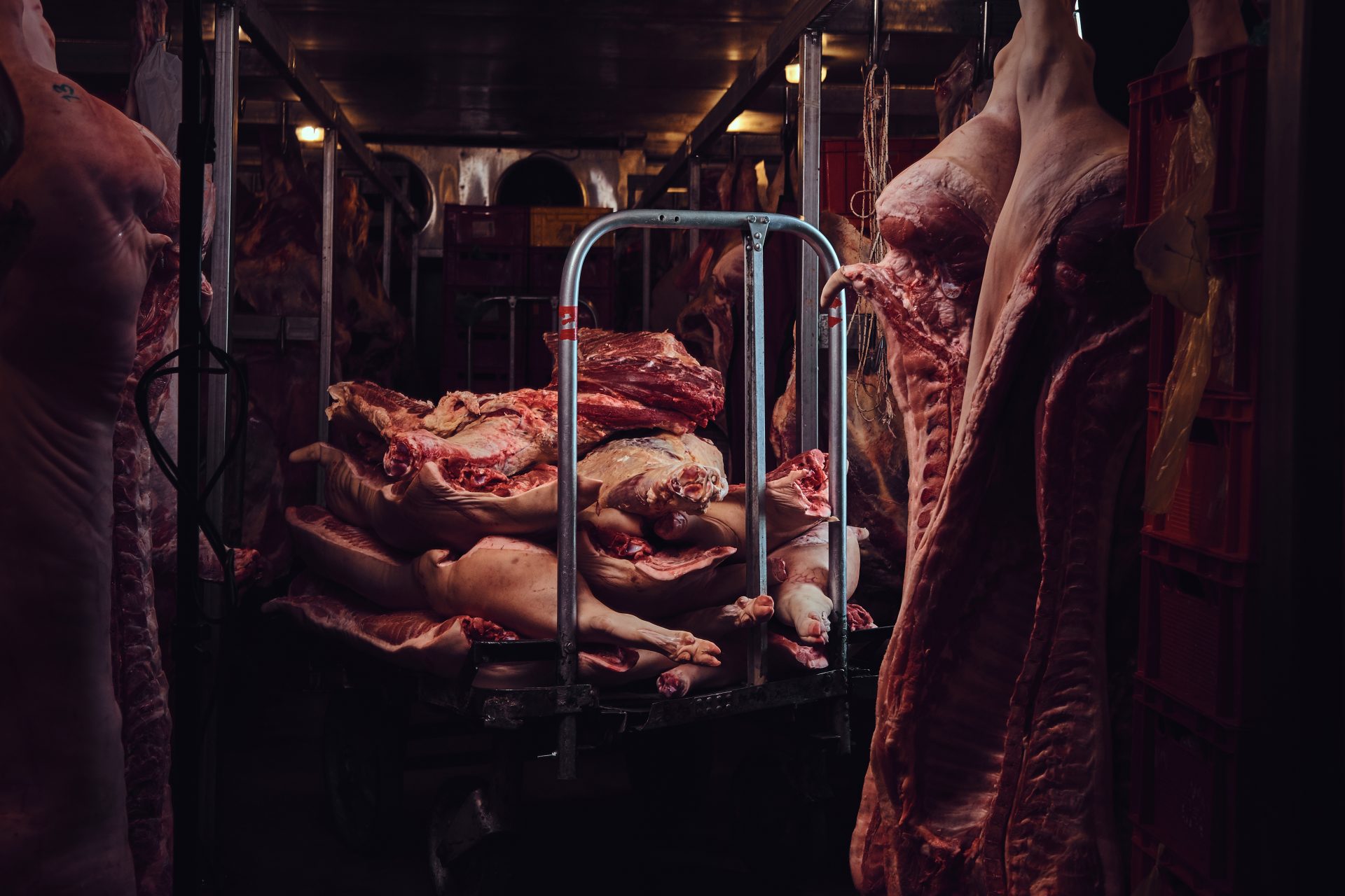 pork meat in a factory storage 2021 08 29 21 01 32 utc