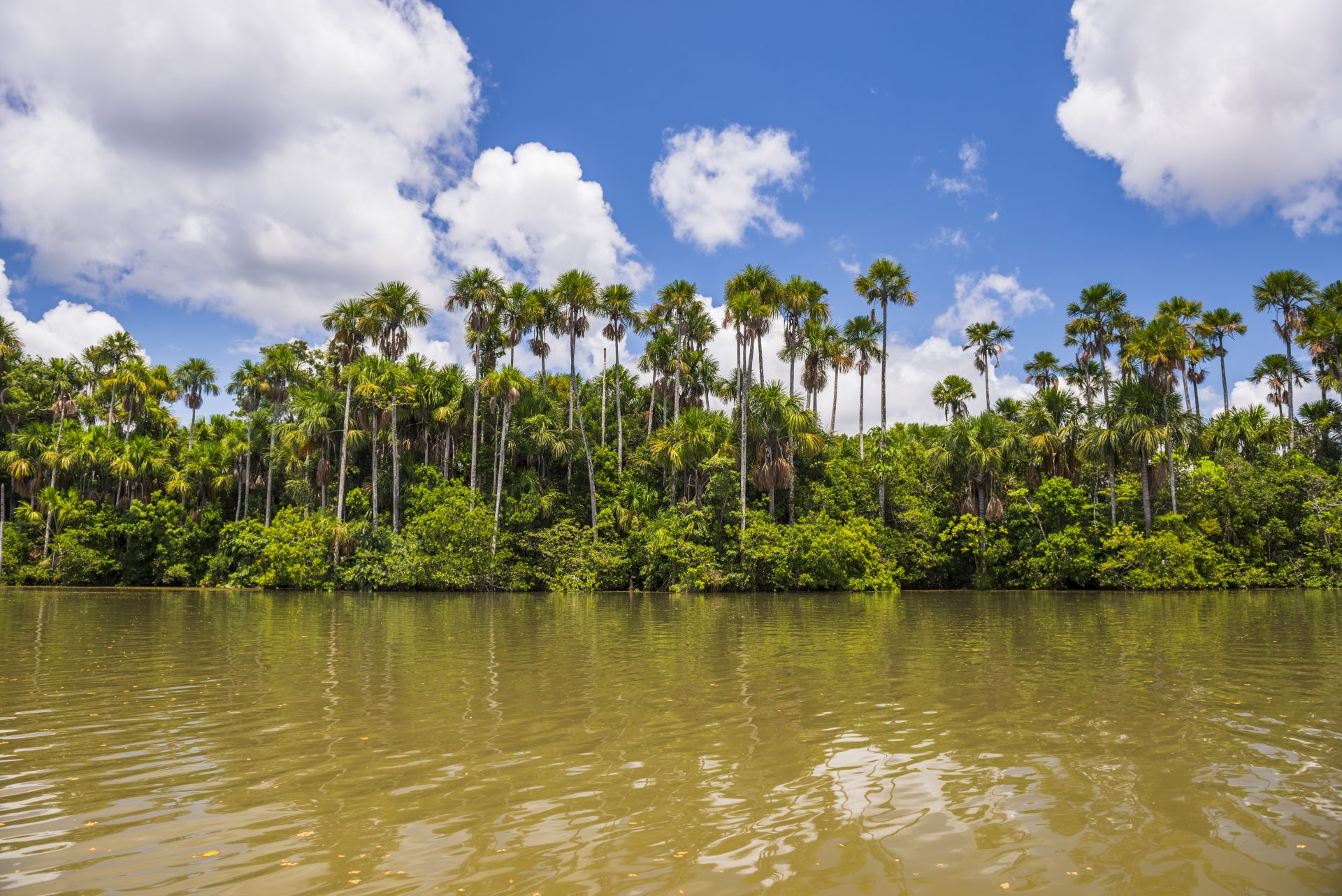 sandoval lake tambopata national reserve tambopa 2022 03 08 07 39 18 utc
