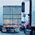 trucking 2022 11 08 05 37 47 utc