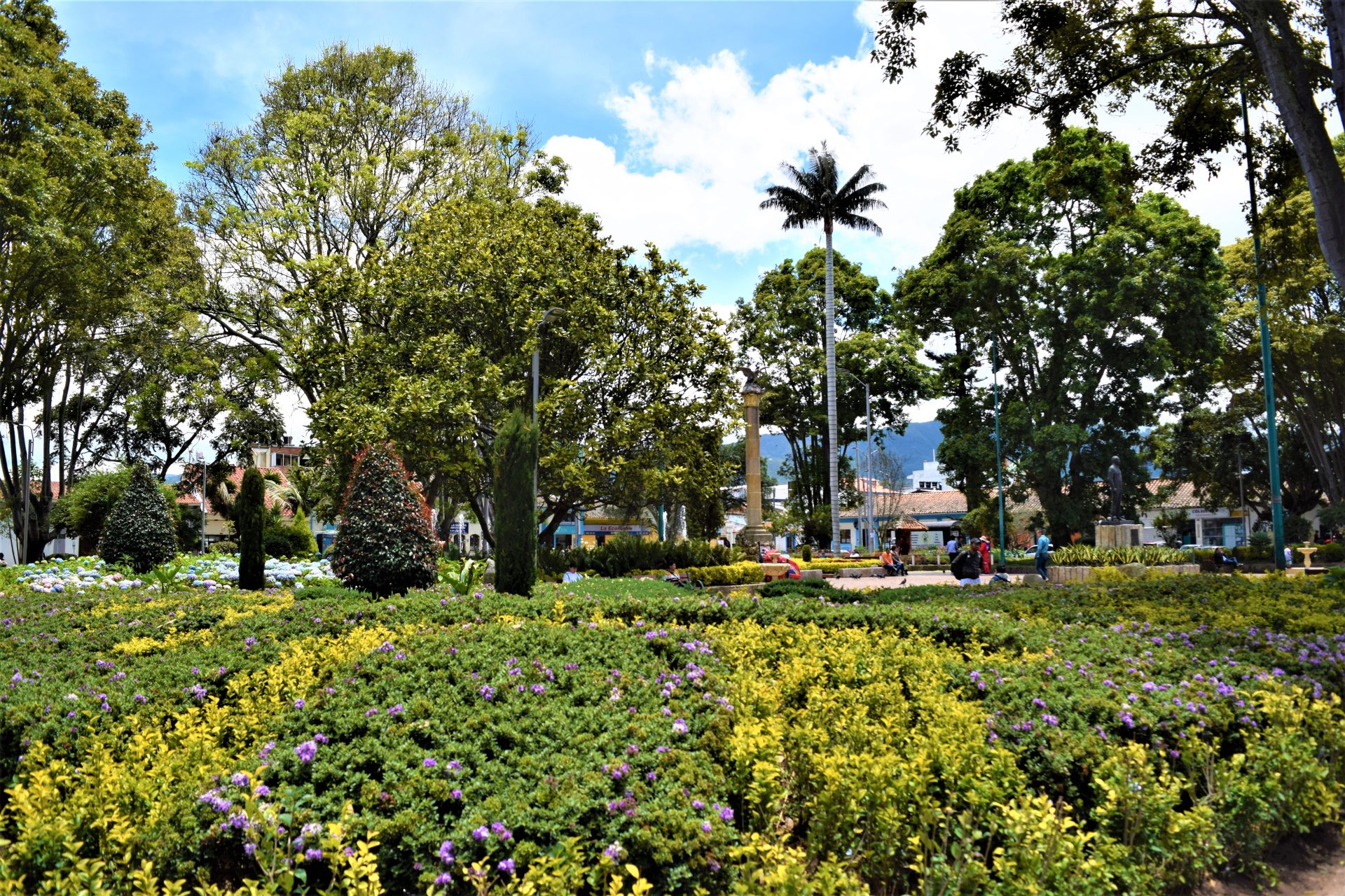 DSC 0052