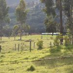 Proyecto nuevo 34