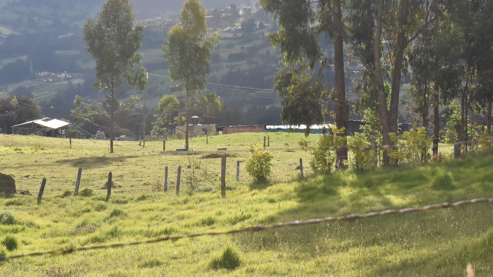 Proyecto nuevo 34