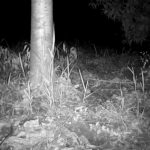 photo 2023 09 20 13 35 36