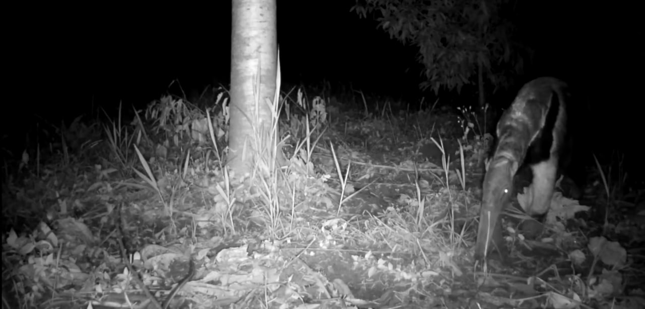 photo 2023 09 20 13 35 36