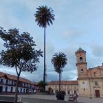Proyecto nuevo 43 1