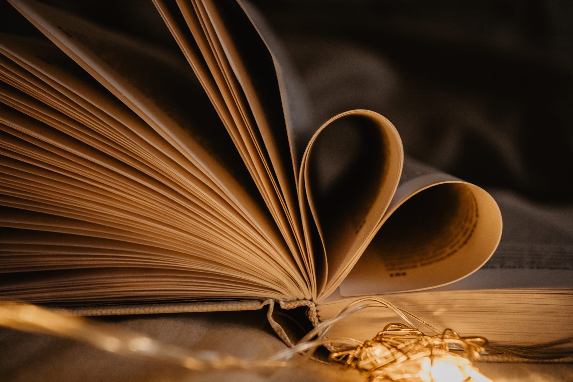 book love reading hearts in the wild heart w 2022 11 08 03 06 12 utc