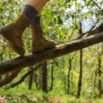 hiker walking on a fallen tree trunk in forest 2022 04 19 17 58 47 utc