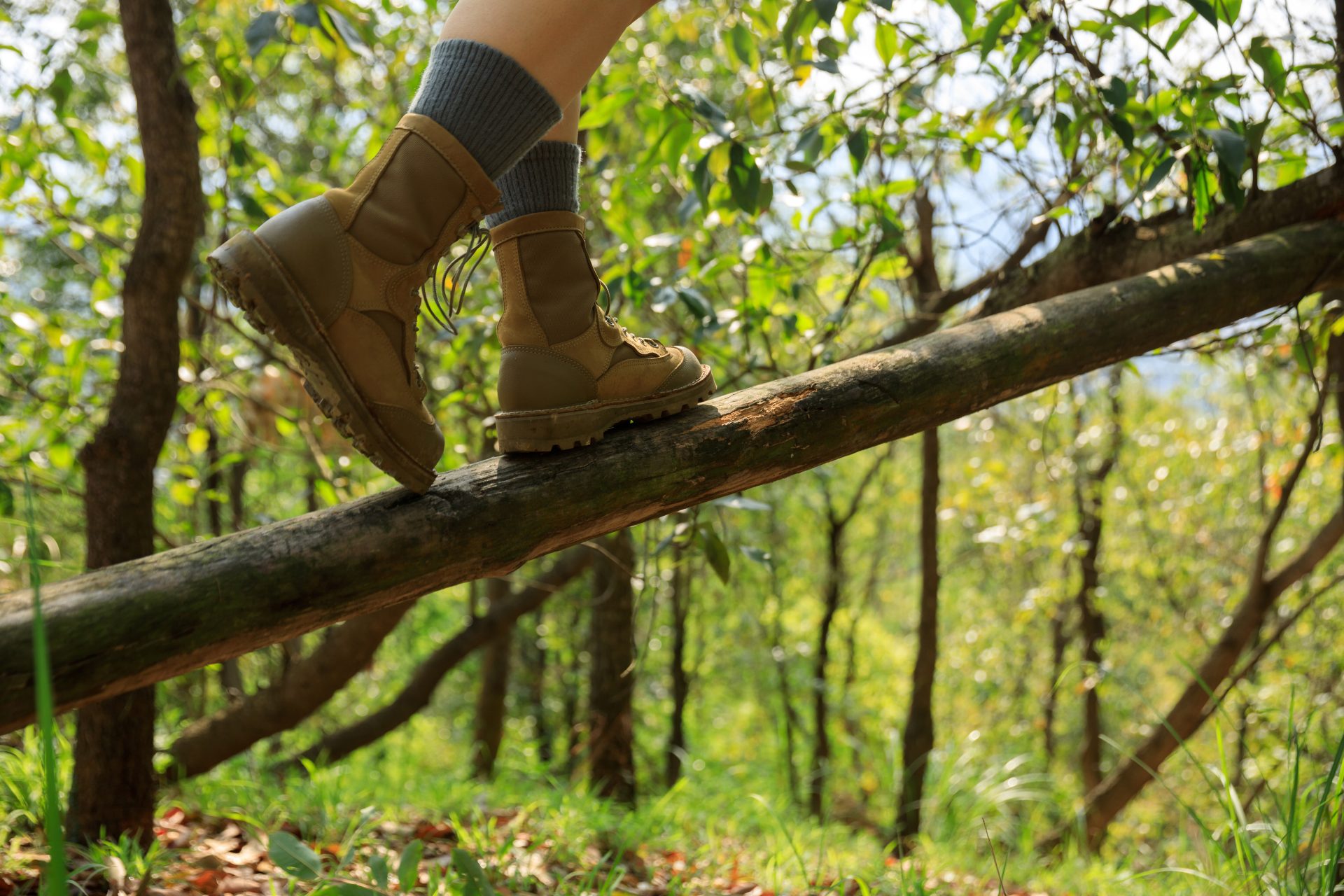 hiker walking on a fallen tree trunk in forest 2022 04 19 17 58 47 utc