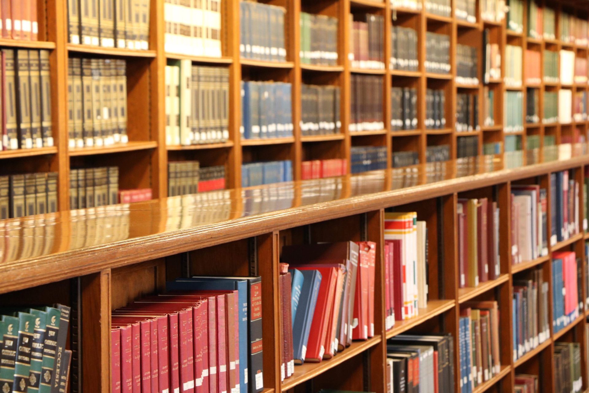in the library 2022 11 02 18 49 02 utc
