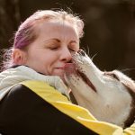 siberian husky dog kissing woman with pink hair t 2023 03 17 15 33 14 utc