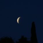 this photo came out amazing to me 2022 11 10 10 18 04 utc