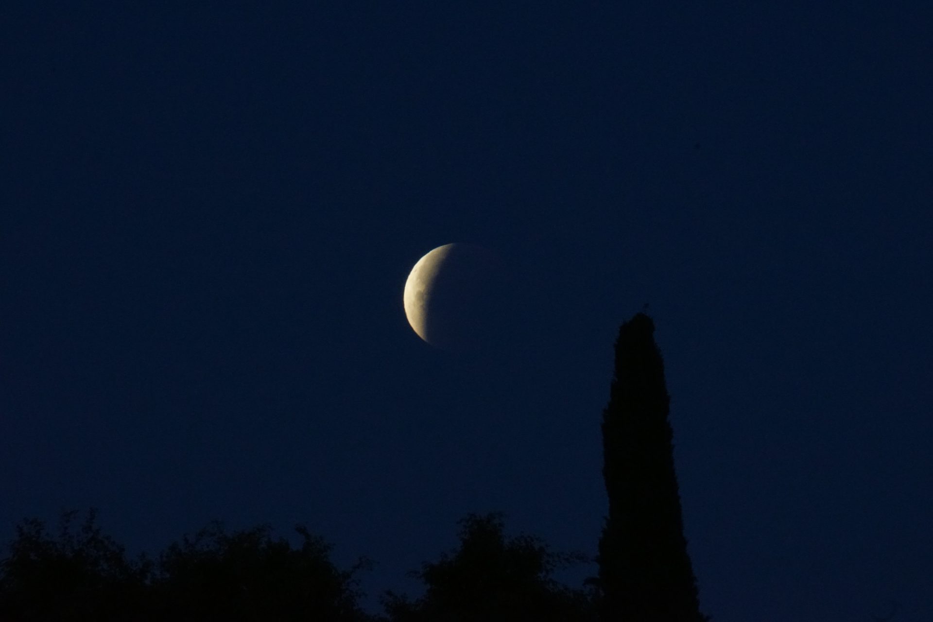 this photo came out amazing to me 2022 11 10 10 18 04 utc