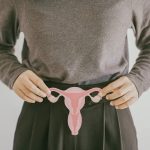 woman hands holding uterus female reproductive sy 2022 11 04 01 57 11 utc