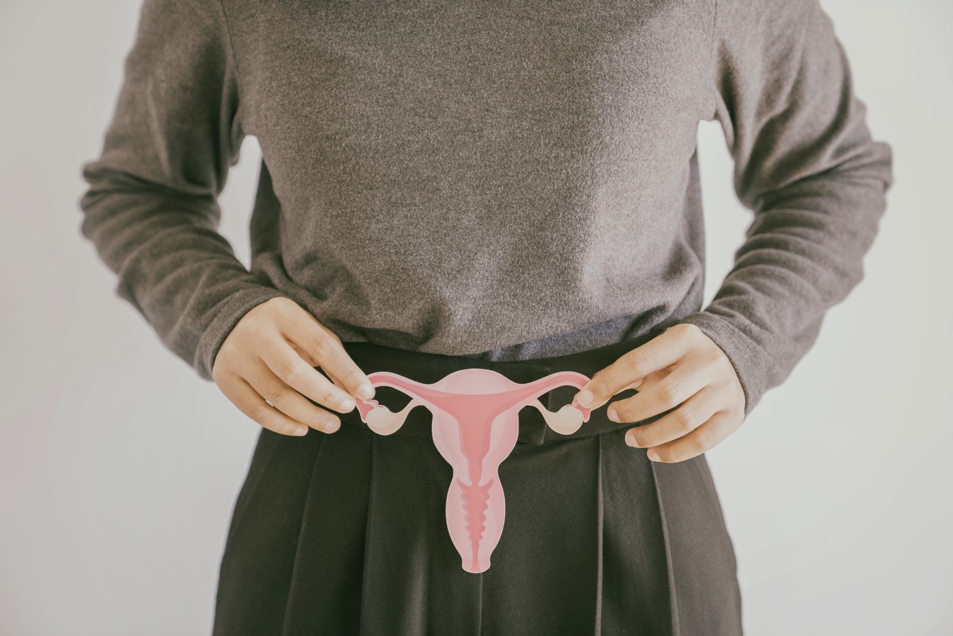 woman hands holding uterus female reproductive sy 2022 11 04 01 57 11 utc