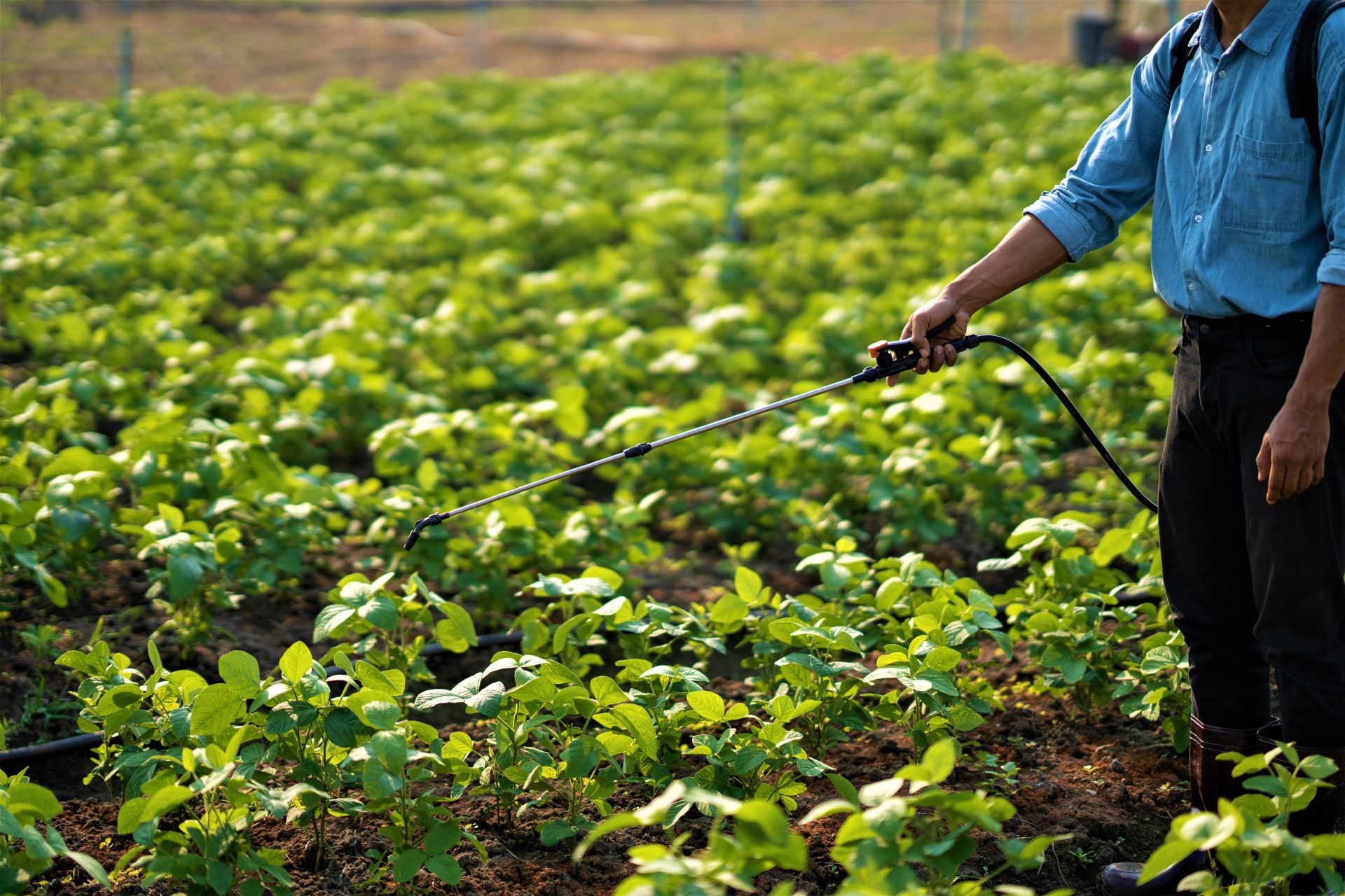 Mas de 4.673 millones destinados a la agricultura Un impulso a 5.312 campesinos en Cundinamarca
