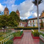 NEMOCON PARQUE NAVIDAD