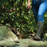 PGN insta al Gobierno a empoderar a las mujeres rurales en la lucha por un futuro sostenible