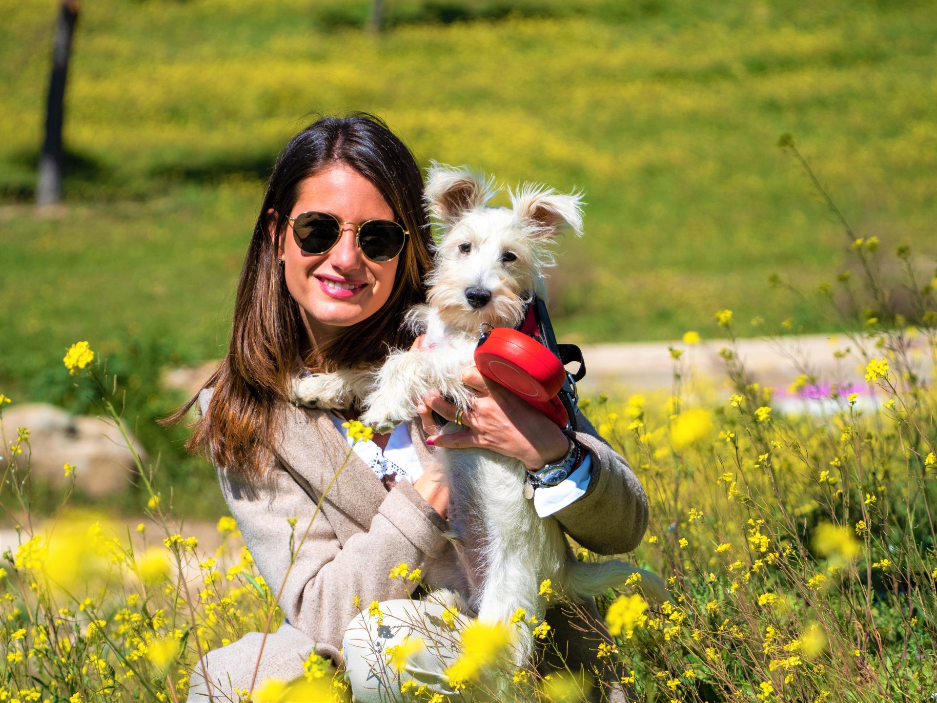 Quienes tengan mascotas tendran que tomar curso de formacion obligatorio
