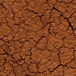 brown dried cracked ground close up grunge backgr 2022 10 19 04 14 03 utc