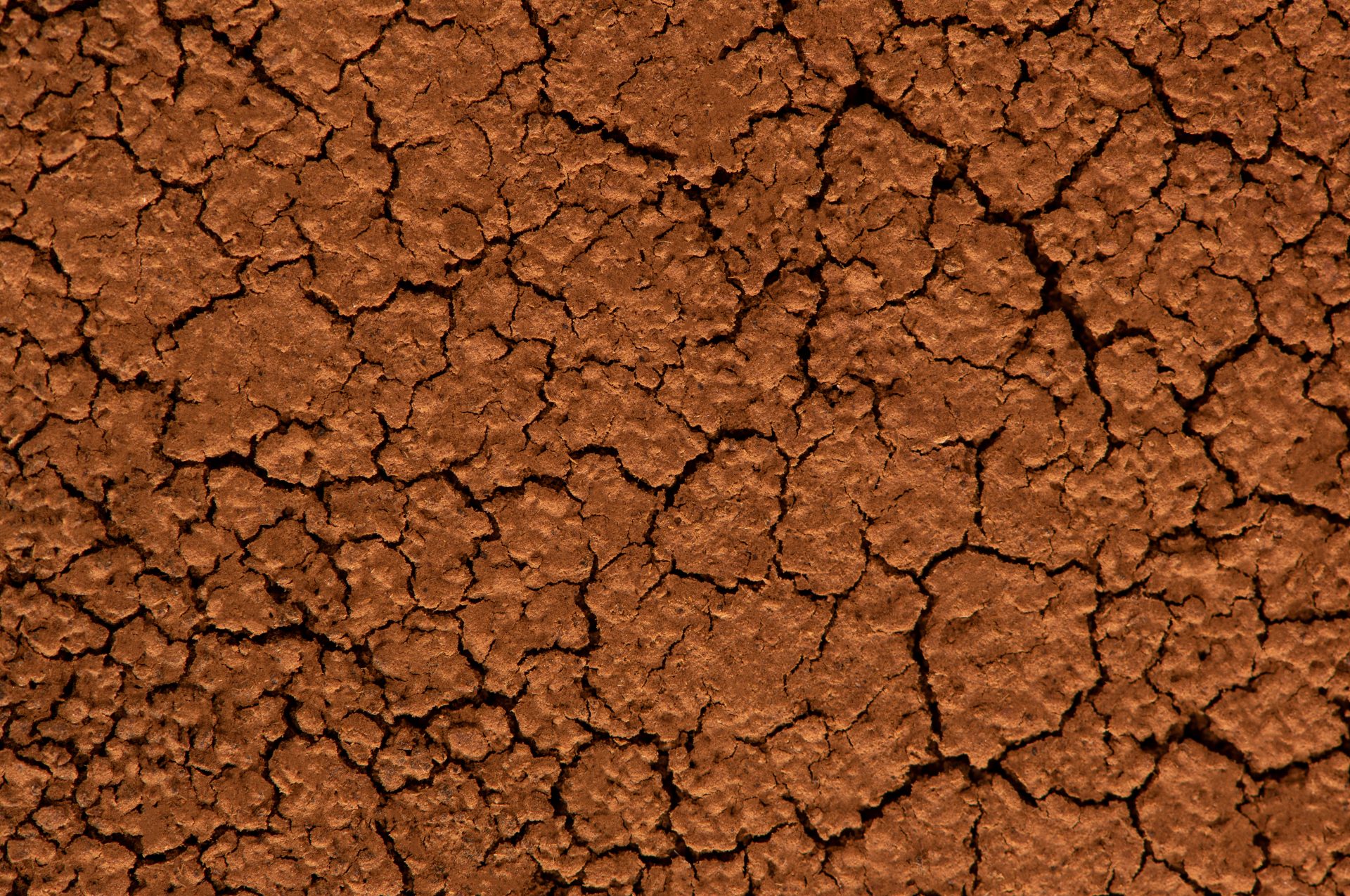 brown dried cracked ground close up grunge backgr 2022 10 19 04 14 03 utc