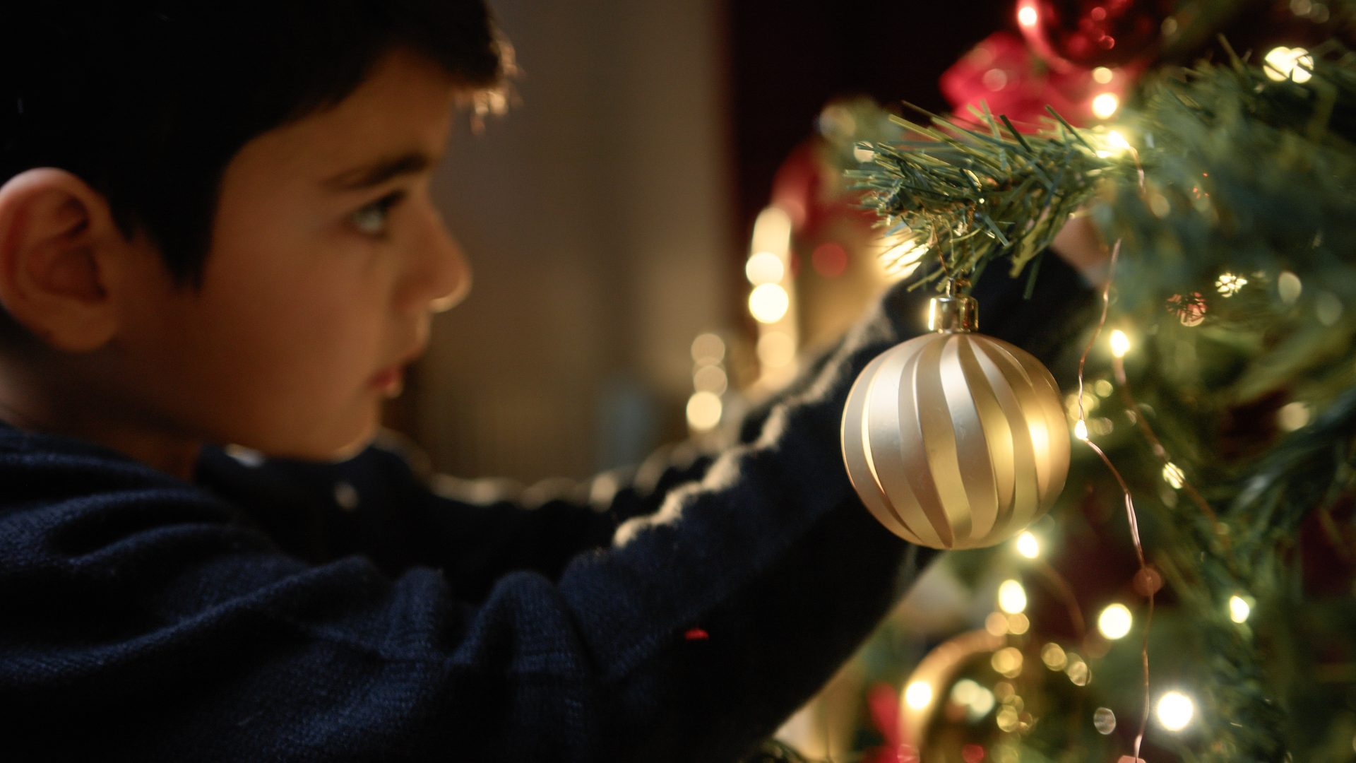 kid putting christmas ball on the tree 2023 11 09 11 13 19 utc
