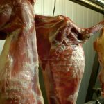 pig carcasses at slaughterhouse close up 2023 11 27 05 15 27 utc