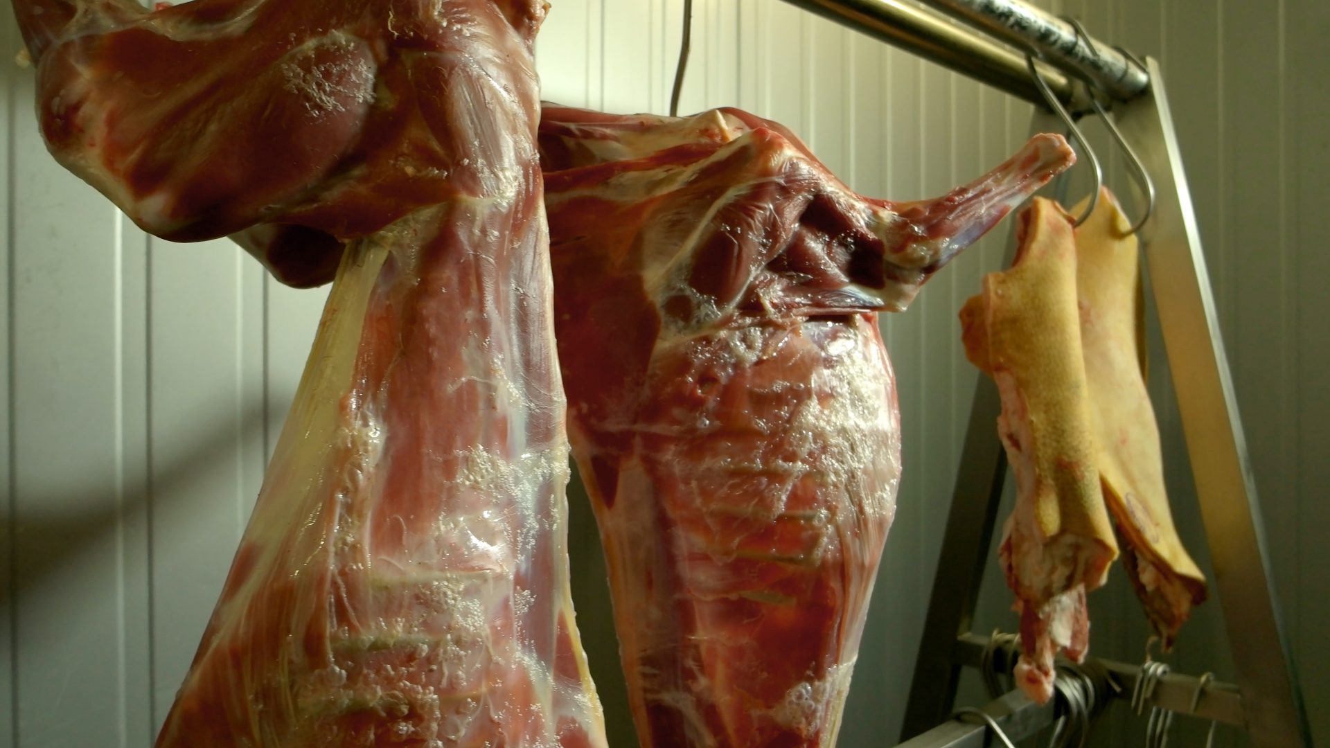 pig carcasses at slaughterhouse close up 2023 11 27 05 15 27 utc
